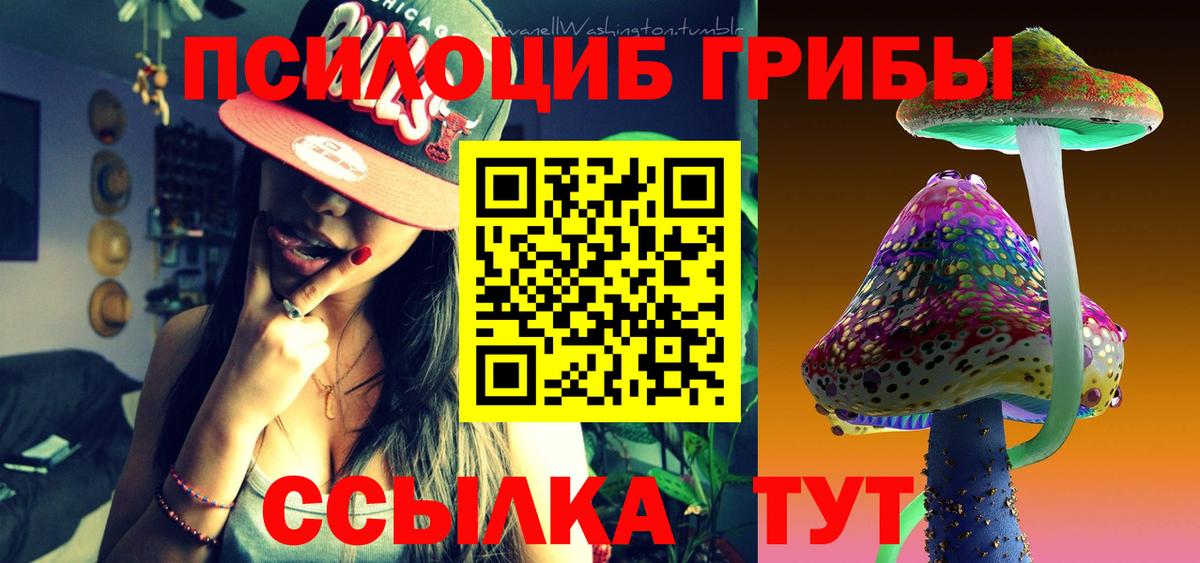 Галлюциногенные грибы Psilocybine cubensis Дубна